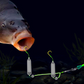 🎣🌊 ¡OFERTA 50% OFF! Aparejo de Pesca con Flotador – Más Picadas, Más Capturas