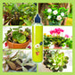 Liquid Nutrient for Outdoor & Indoor Plants