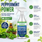 🗑️Spray natural de aceite de menta contra insectos y plagas🪳🦟 – Máxima potencia – Fórmula con aroma seguro para el hogar y el jardín