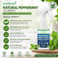 🗑️Spray natural de aceite de menta contra insectos y plagas🪳🦟 – Máxima potencia – Fórmula con aroma seguro para el hogar y el jardín