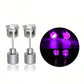 Stylish LED Luminous Crown Earrings（50% OFF）