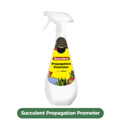 300ml Succulent Fertilizer Spray