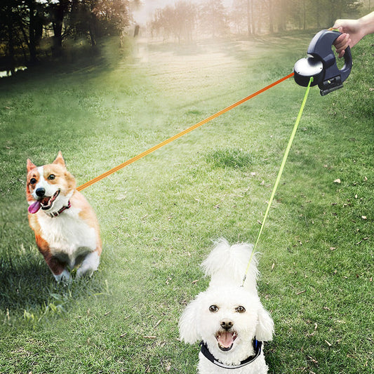 Two-in-One Multifunctional Dog Walker