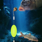 🎣🌊 ¡OFERTA 50% OFF! Aparejo de Pesca con Flotador – Más Picadas, Más Capturas