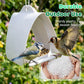 Comedero para pájaros colgante moderno para jardines al aire libre