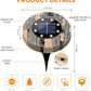 🔥Oferta por tiempo limitado: luces solares para jardín: ilumina tu jardín sin pagar un céntimo de electricidad.