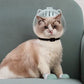 Casco transparente anti-mordeduras y protectores para las patas de los gatos