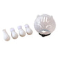 Casco transparente anti-mordeduras y protectores para las patas de los gatos
