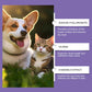 Solución ocular suave para perros y gatos