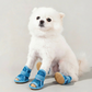 Zapatos antideslizantes de malla transpirable para perros